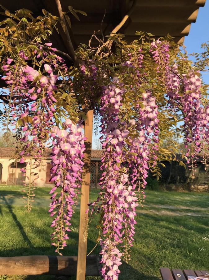 Agriturismo Corte Galvagnina Cesole Exterior foto